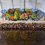 IMG_2815.jpeg