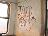 IMG_3584.jpeg