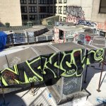 IMG_3650.jpeg