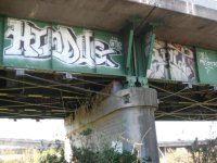 IMG_3601.jpeg