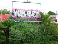 IMG_2607.jpeg