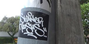 att.OoBc7hK1juy1GToyBlbZvdm--U4oDW817Z48UO-LgNI.jpeg