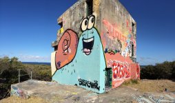 IMG_3837.jpeg