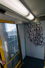 IMG_3845.jpeg