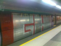IMG_3833.jpeg