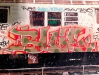 IMG_3606.jpeg