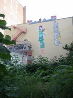 IMG_4274.jpeg