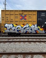 IMG_4131.jpeg