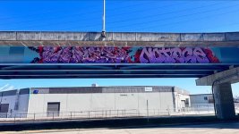 IMG_4152.jpeg