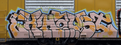IMG_9611.png