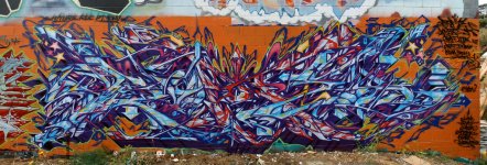 IMG_4073.jpeg