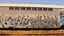 IMG_4631.jpeg