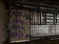 IMG_4893.jpeg