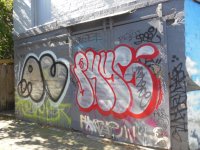 IMG_5114.jpeg