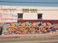 IMG_3977.jpeg