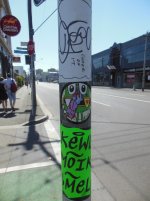 IMG_5236.jpeg