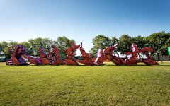IMG_5272.jpeg
