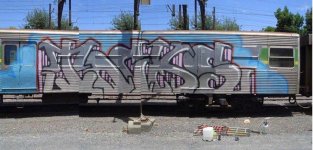 IMG_5308.jpeg
