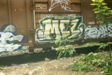 IMG_5405.jpeg