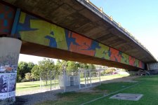 IMG_5571.jpeg