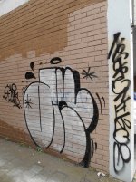 IMG_5655.jpeg