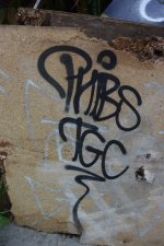 IMG_5781.jpeg