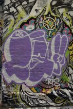 IMG_5877.jpeg