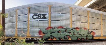 IMG_6368.jpeg