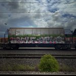 IMG_5934.jpeg