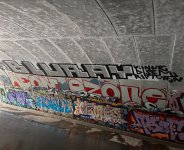 IMG_6046.jpeg