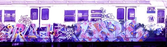 IMG_6184.jpeg