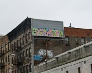IMG_6107.jpeg