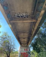 IMG_6246.jpeg