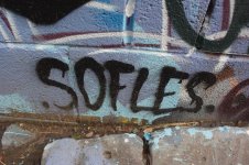 IMG_6261.jpeg