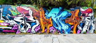 IMG_3987.jpeg