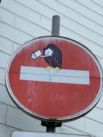 IMG_6251.jpeg