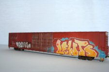 IMG_5811.jpeg