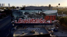 IMG_6445.jpeg
