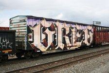 IMG_5824.jpeg