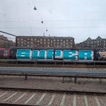 IMG_6304.jpeg