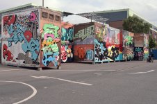 IMG_6331.jpeg
