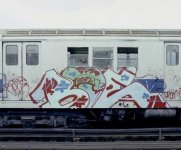 IMG_3653.jpeg