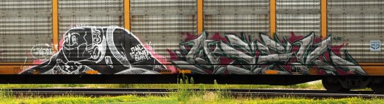 74c5c64c-ed0d-43db-b976-a4be7545320a_2500x678.jpg