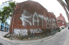 IMG_6185.jpeg