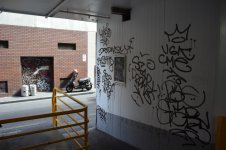 IMG_7125.jpeg