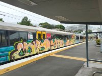 IMG_7146.jpeg