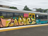 IMG_7145.jpeg