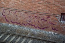 IMG_7147.jpeg