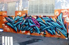 IMG_6298.jpeg