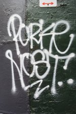 IMG_7699.jpeg